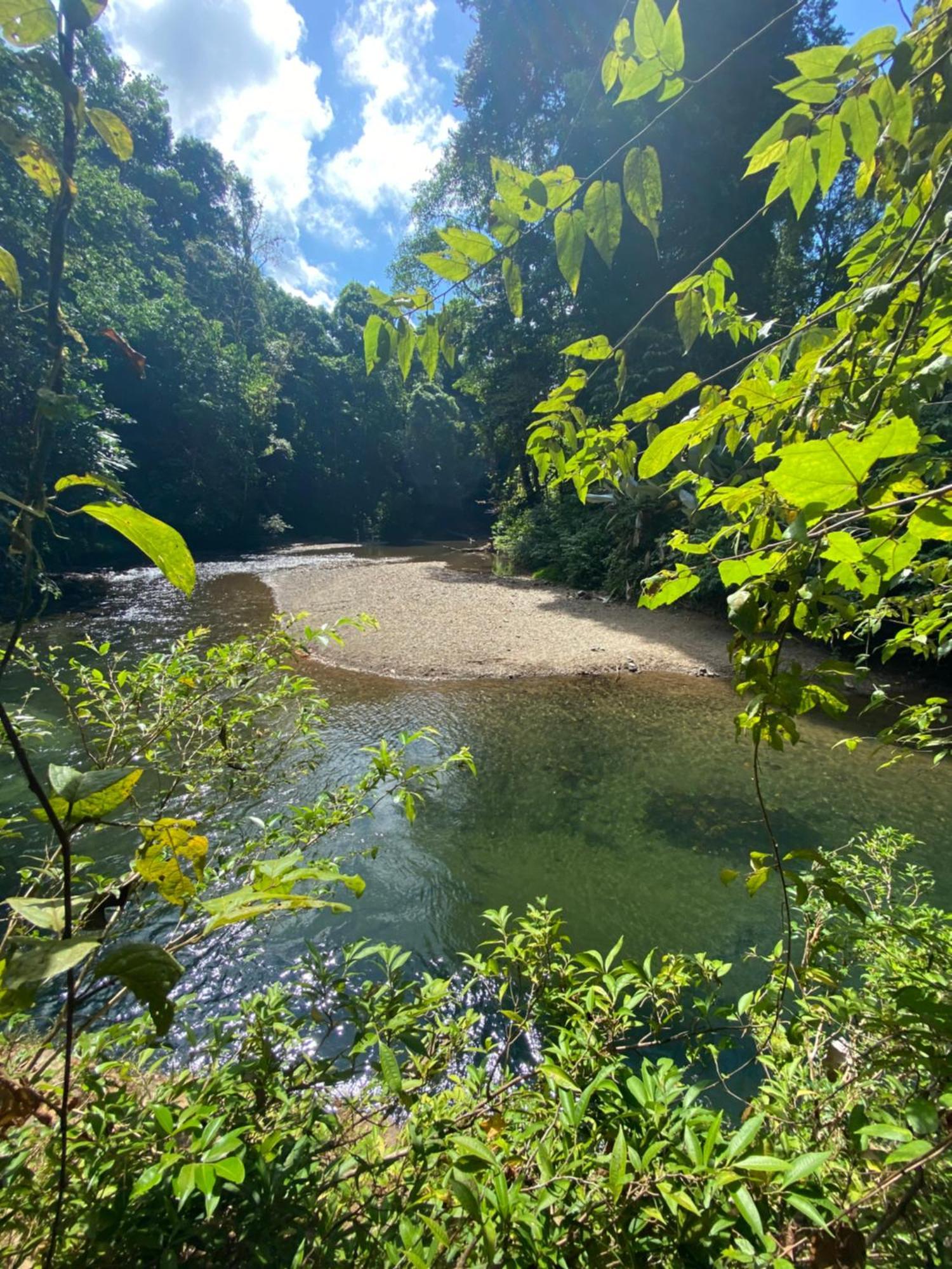 Cabinas Corcovado Green Parrot, Los Planes Drake Drakes Bay Dış mekan fotoğraf
