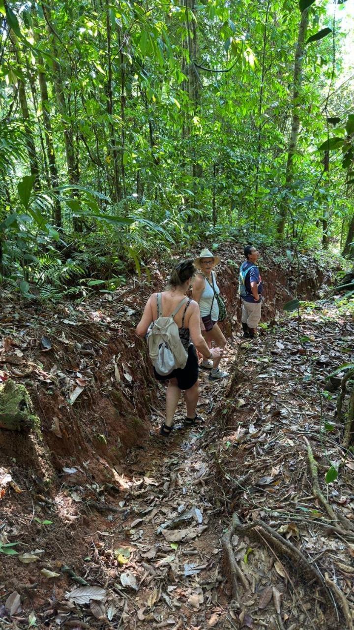 Cabinas Corcovado Green Parrot, Los Planes Drake Drakes Bay Dış mekan fotoğraf