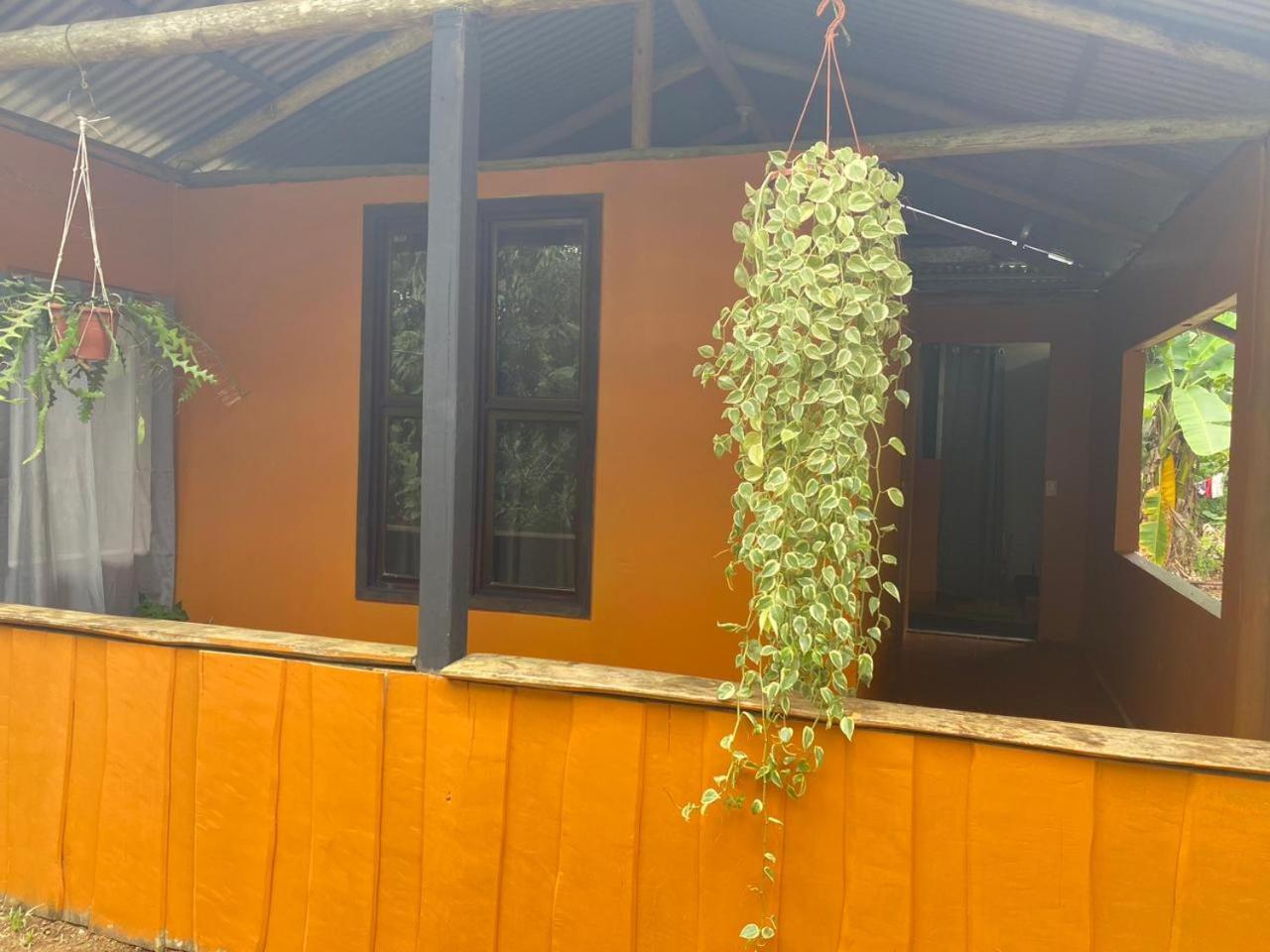 Cabinas Corcovado Green Parrot, Los Planes Drake Drakes Bay Dış mekan fotoğraf
