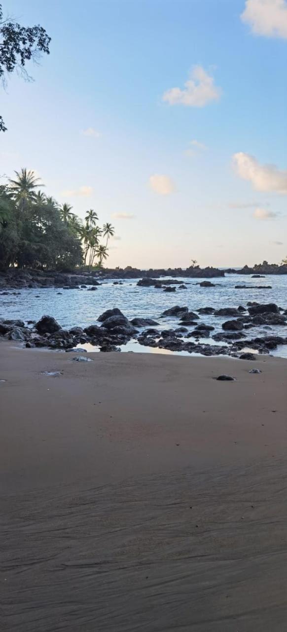Cabinas Corcovado Green Parrot, Los Planes Drake Drakes Bay Dış mekan fotoğraf