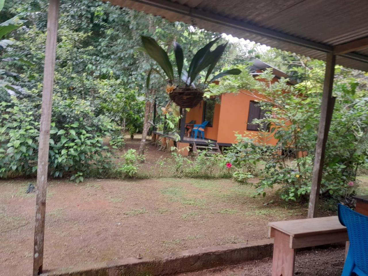Cabinas Corcovado Green Parrot, Los Planes Drake Drakes Bay Dış mekan fotoğraf