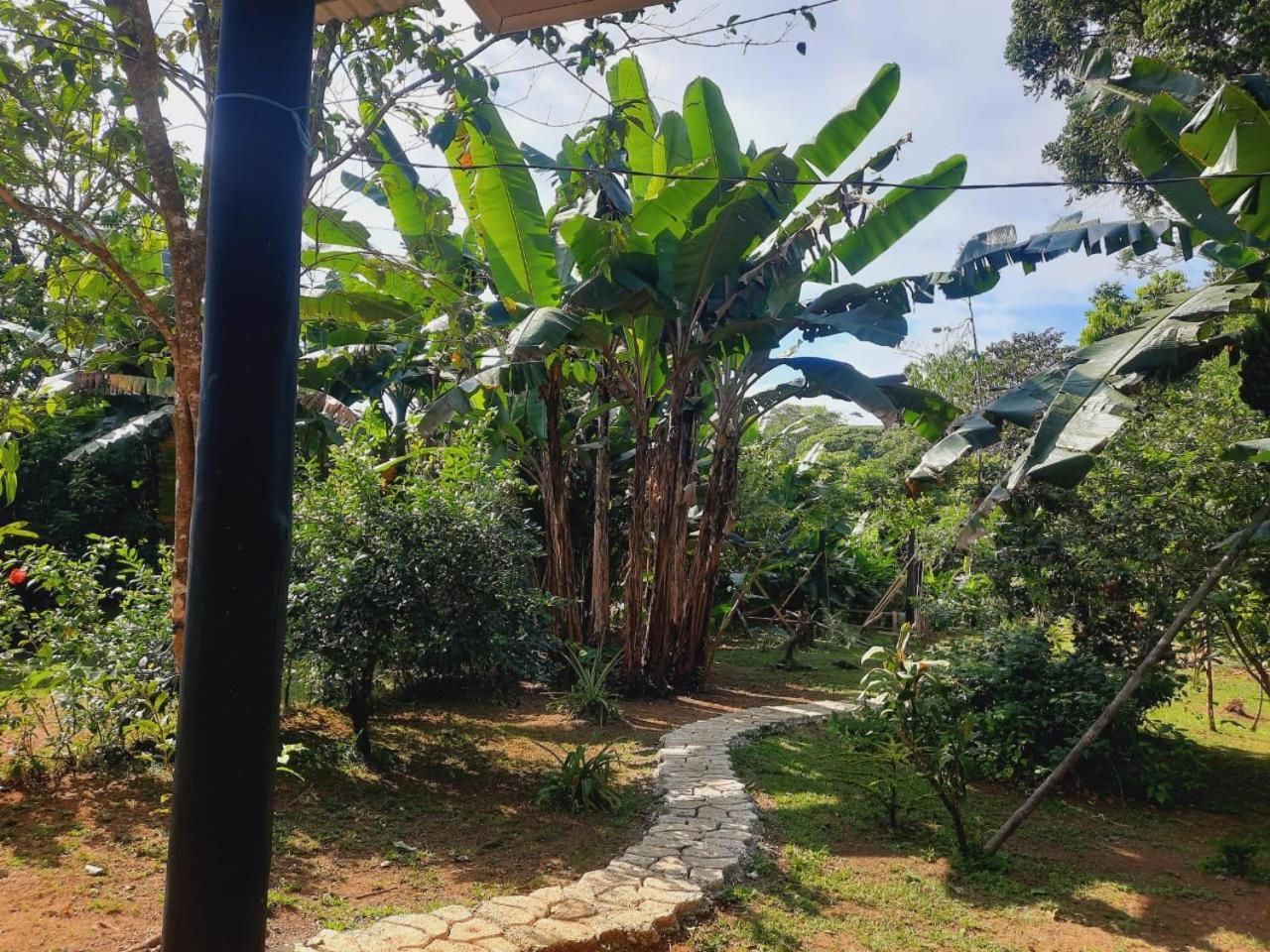 Cabinas Corcovado Green Parrot, Los Planes Drake Drakes Bay Dış mekan fotoğraf