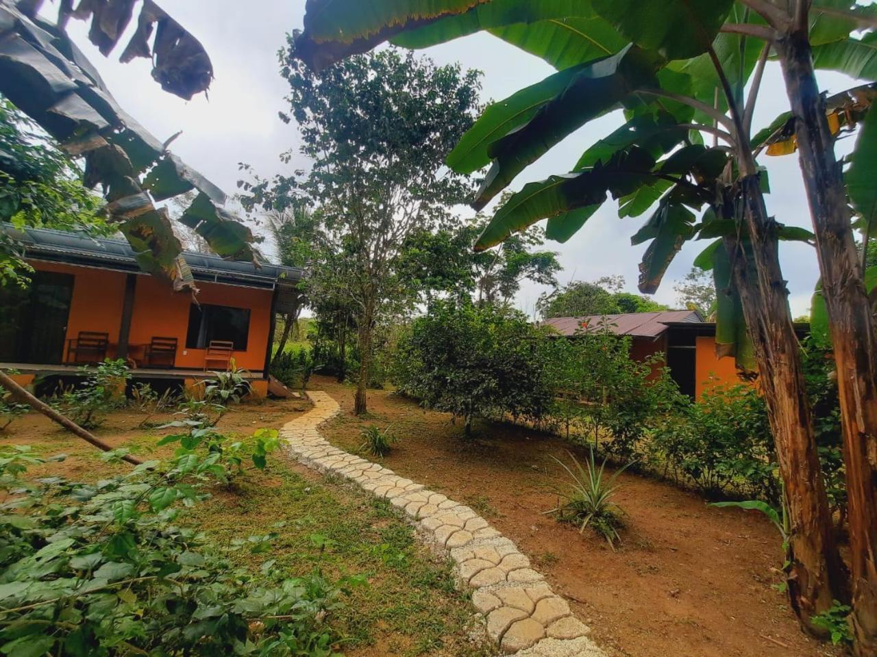 Cabinas Corcovado Green Parrot, Los Planes Drake Drakes Bay Dış mekan fotoğraf