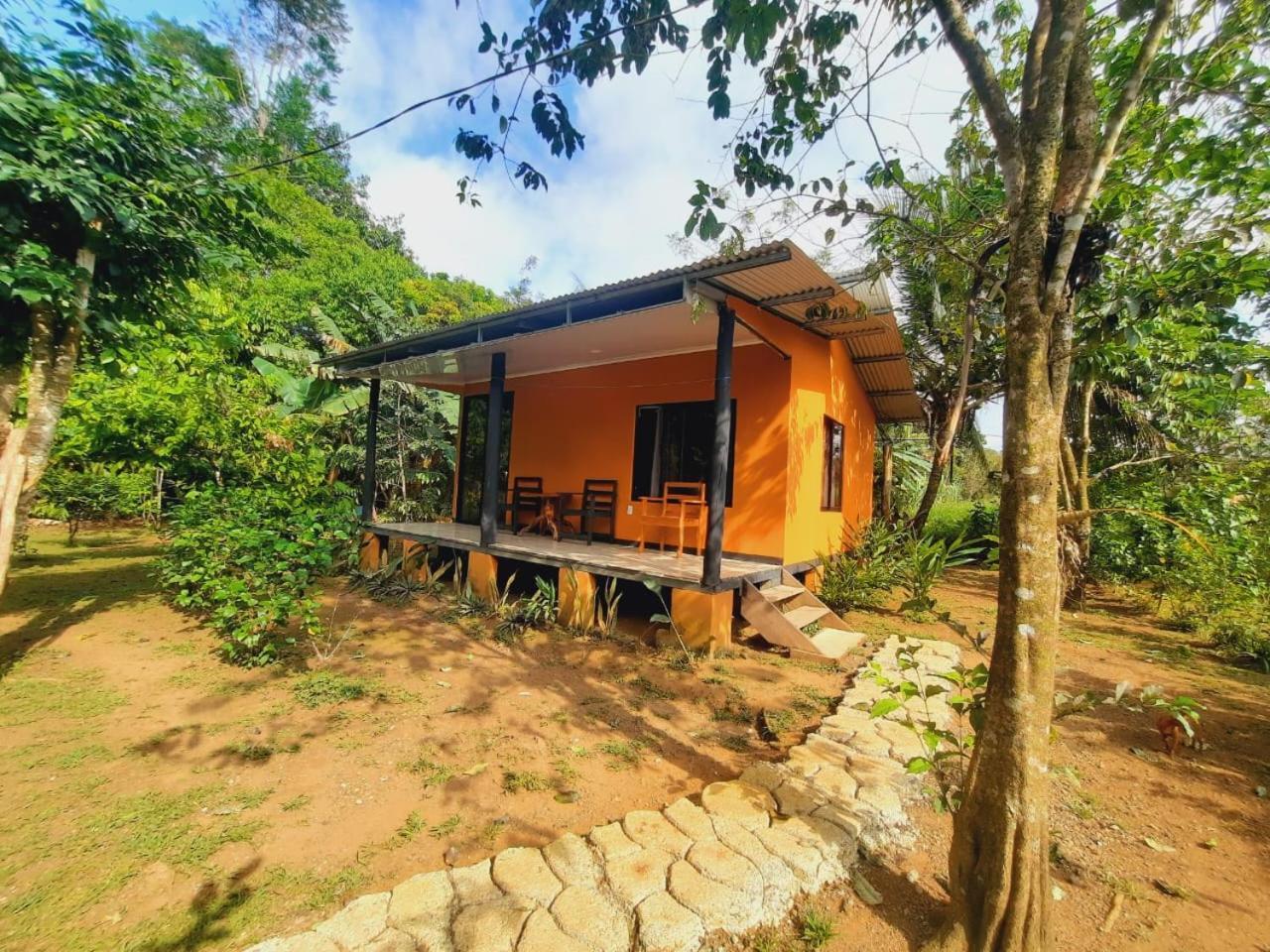 Cabinas Corcovado Green Parrot, Los Planes Drake Drakes Bay Dış mekan fotoğraf